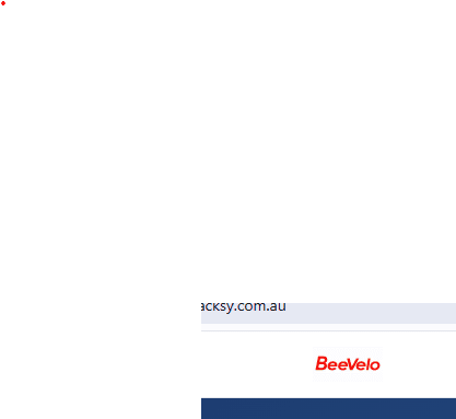 BeeVelo